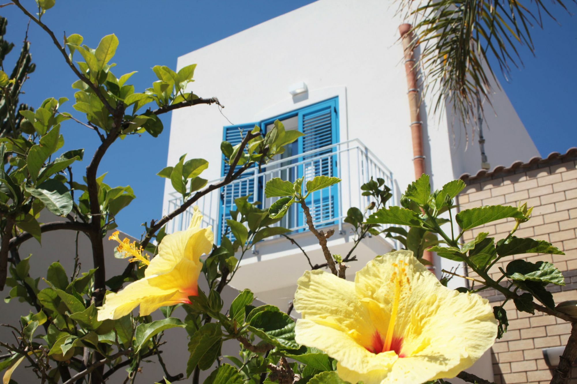 Rivazzurra Design Rooms San Vito Lo Capo Exterior foto